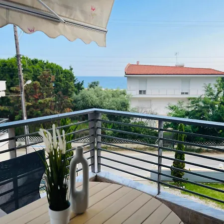 Allea And Торони