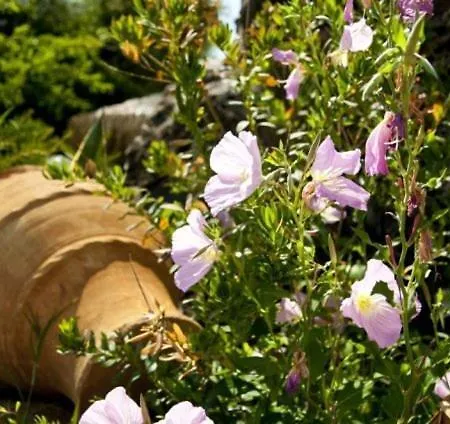 Allea And Апарт-отель 2*